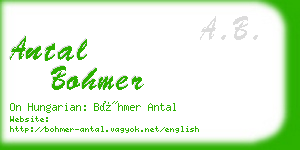 antal bohmer business card